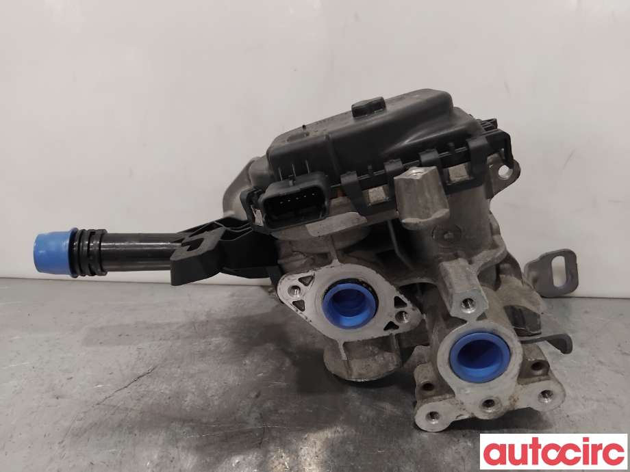 EGR-ventil til Citroën C4 2011-2017 (Type II)  (CITROEN|1679828780|V29041167|9807369980)