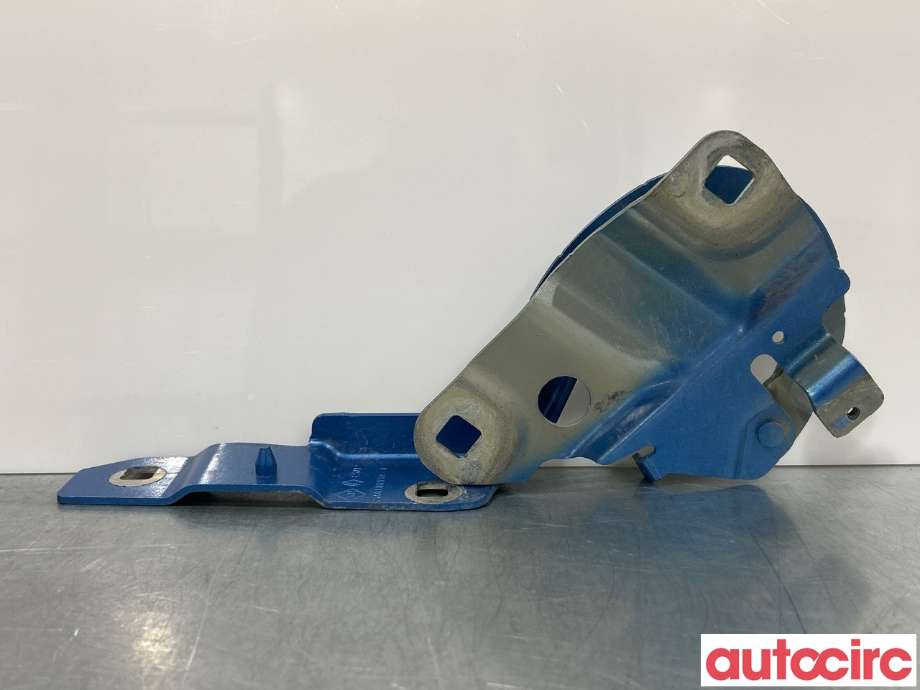 Panserhengsler til Renault Zoe 2013-2019 (Fase 1)  (RENAULT|654015966R||654018609R)