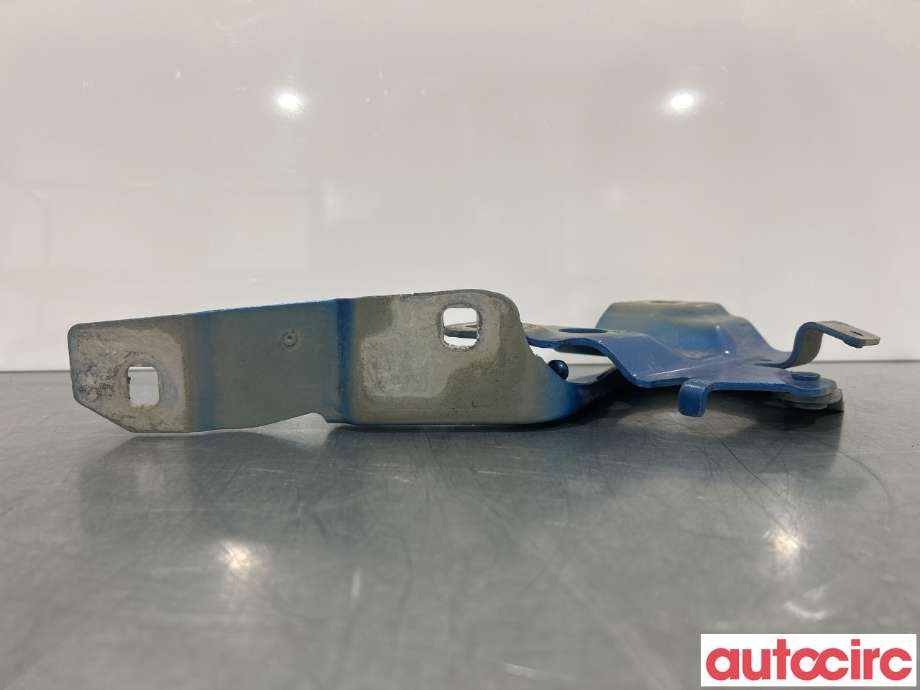 Panserhengsler til Renault Zoe 2013-2019 (Fase 1)  (RENAULT|654015966R||654018609R)