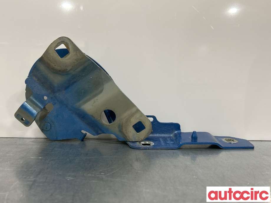 Panserhengsler til Renault Zoe 2013-2019 (Fase 1)  (RENAULT|654009955R|)