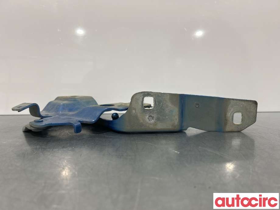 Panserhengsler til Renault Zoe 2013-2019 (Fase 1)  (RENAULT|654009955R|)