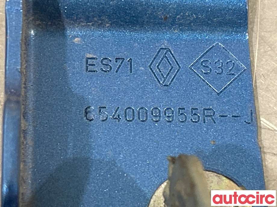 Panserhengsler til Renault Zoe 2013-2019 (Fase 1)  (RENAULT|654009955R|)