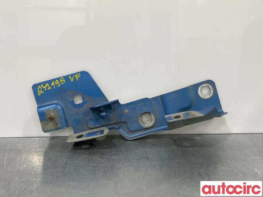 Panserhengsler til Renault Zoe 2013-2019 (Fase 1) (RENAULT|631439781R||654833942R)
