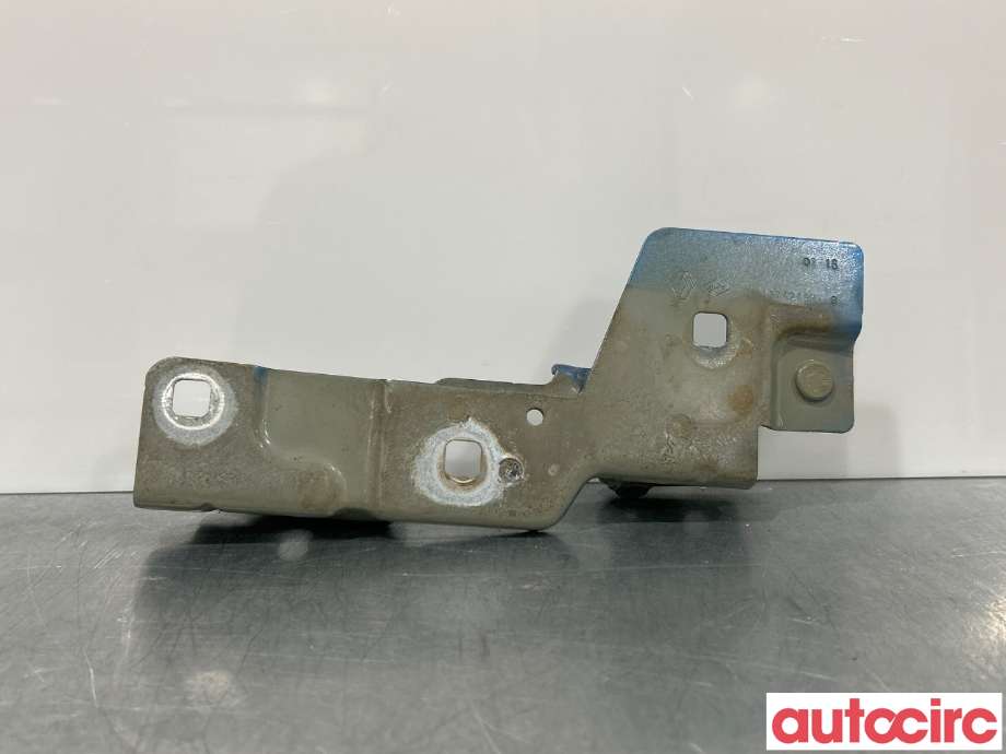 Panserhengsler til Renault Zoe 2013-2019 (Fase 1) (RENAULT|631439781R||654833942R)