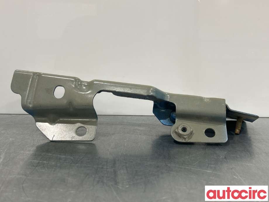 Panserhengsler til Renault Zoe 2013-2019 (Fase 1) (RENAULT|631439781R||654833942R)