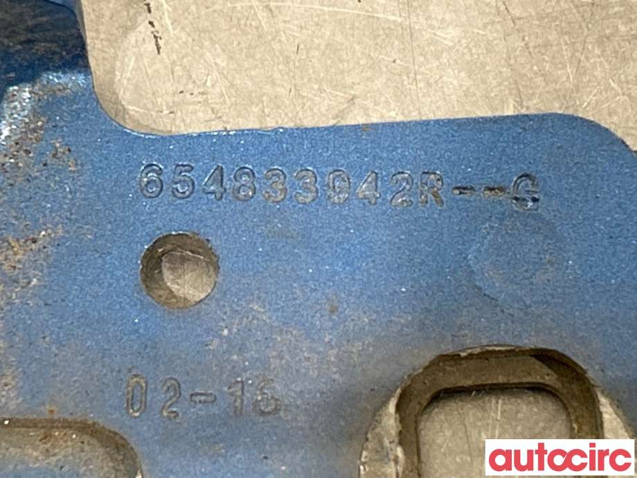Panserhengsler til Renault Zoe 2013-2019 (Fase 1) (RENAULT|631439781R||654833942R)
