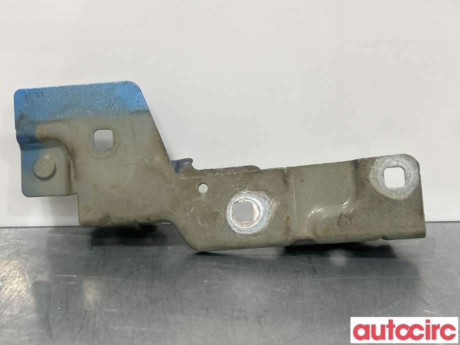 Panserhengsler til Renault Zoe 2013-2019 (Fase 1)  (RENAULT|631420809R||901264988R)