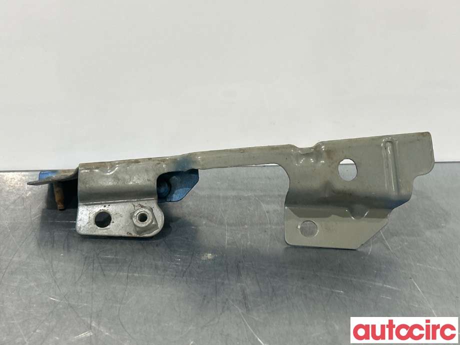 Panserhengsler til Renault Zoe 2013-2019 (Fase 1)  (RENAULT|631420809R||901264988R)