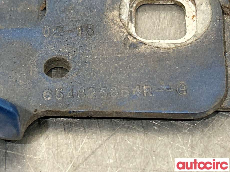 Panserhengsler til Renault Zoe 2013-2019 (Fase 1)  (RENAULT|631420809R||901264988R)