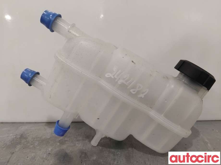 Ekspansjonstank til Hyundai Ioniq Electric 2016-2019 (Fase 1) (HYUNDAI|25430G7500||25430-G7500)