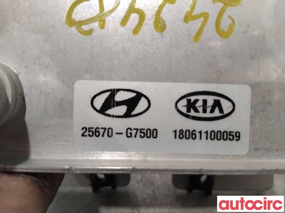 Varmeapparat diverse til Hyundai Ioniq Electric 2016-2019 (Fase 1) (HYUNDAI|25671G7500||25670-G7500)