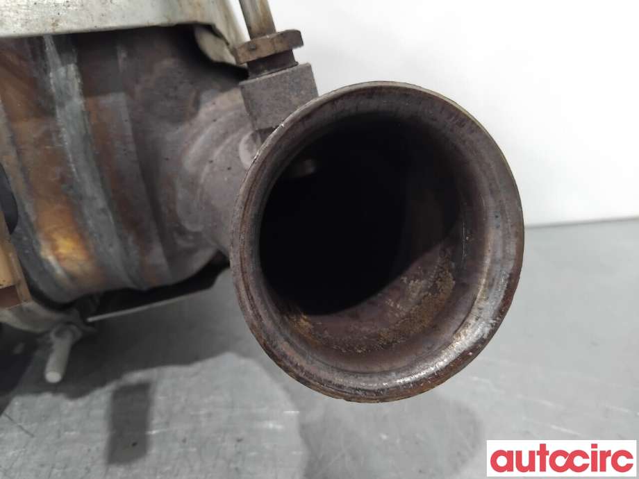 Partikkelfilter til Citroën Berlingo 2015-2019 (Type II, Fase 2) (CITROEN|1609531880|TRPSAK685|1609532780)