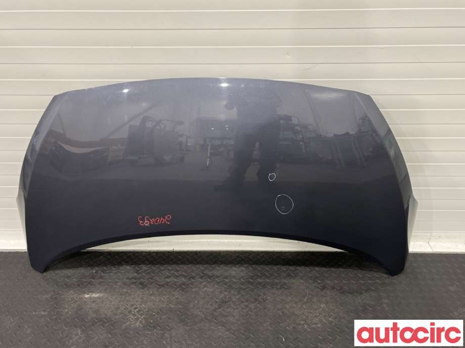 Panser til Hyundai i10, 2008-2013 (Type I)  (HYUNDAI|66400B9000)