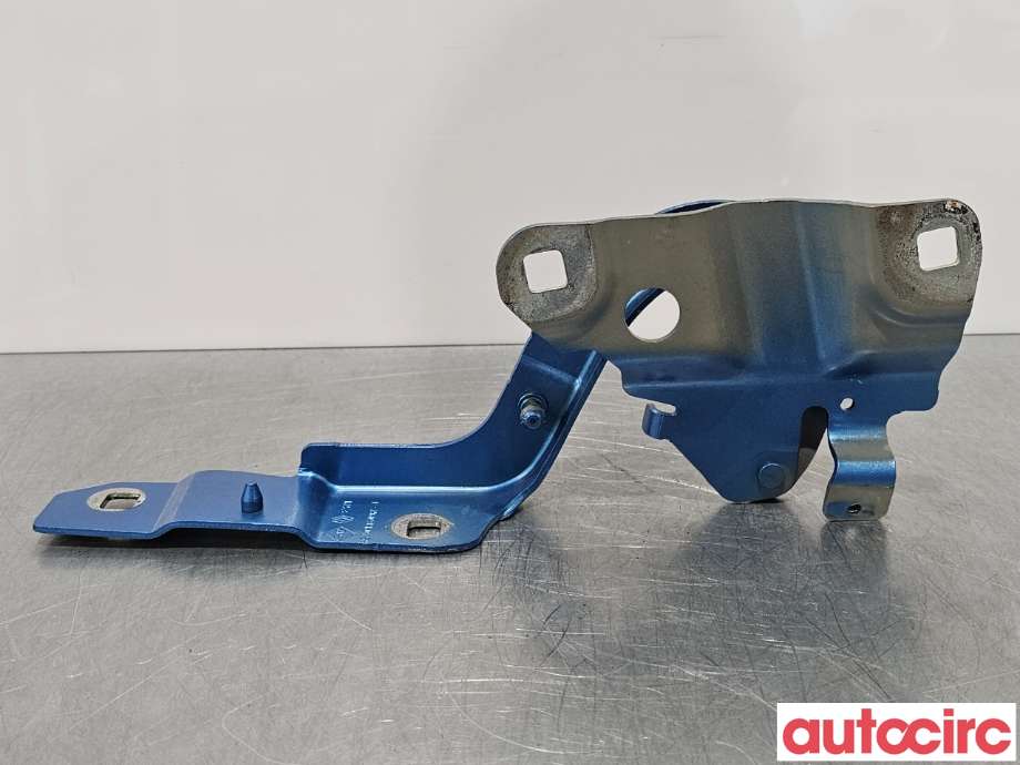 Panserhengsler til Renault Zoe 2013-2019 (Fase 1)  (RENAULT|654015966R||654018609R)
