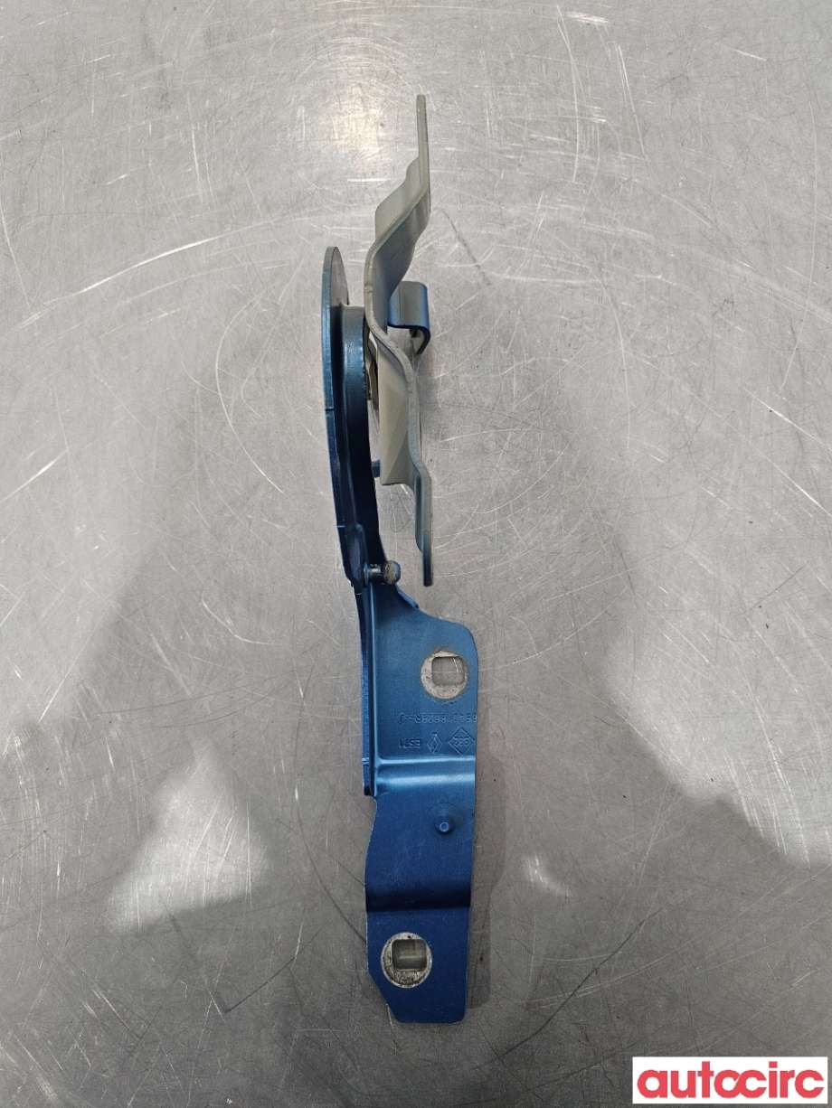 Panserhengsler til Renault Zoe 2013-2019 (Fase 1)  (RENAULT|654015966R||654018609R)