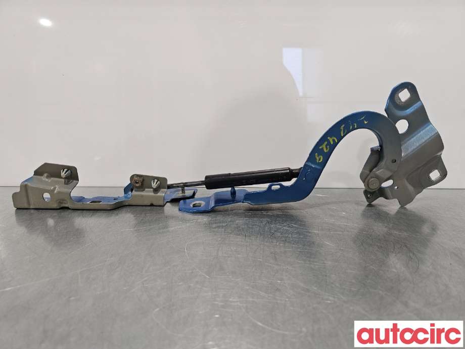 Panserhengsler til Renault Zoe 2013-2019 (Fase 1)  (RENAULT|654004793R||654009955R)