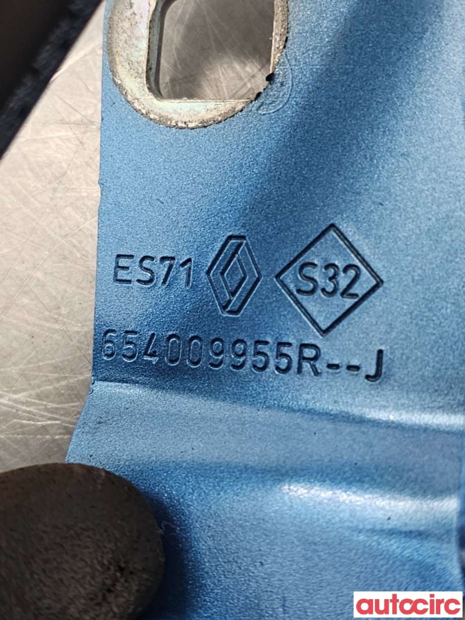 Panserhengsler til Renault Zoe 2013-2019 (Fase 1)  (RENAULT|654004793R||654009955R)