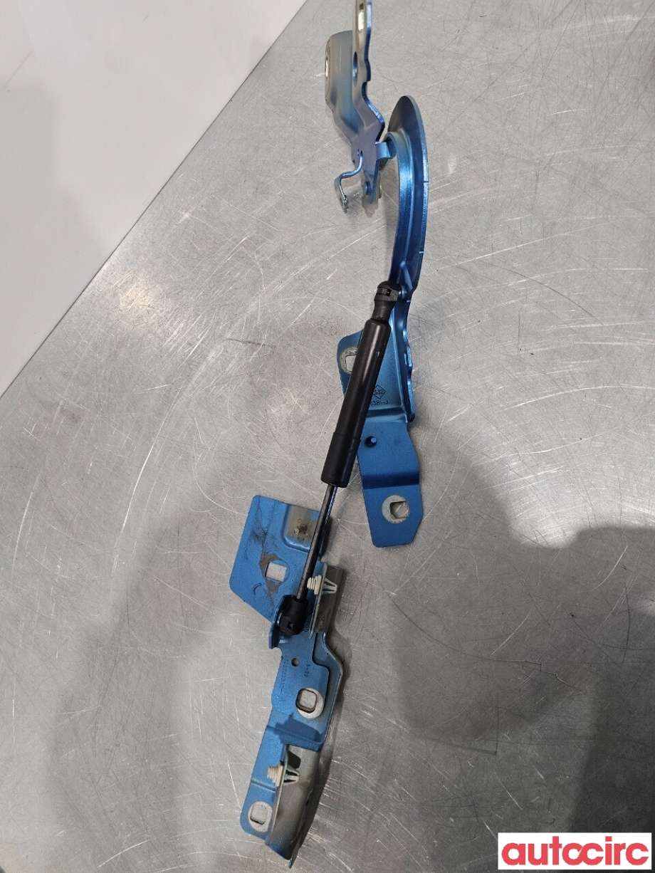 Panserhengsler til Renault Zoe 2013-2019 (Fase 1)  (RENAULT|654004793R||654009955R)
