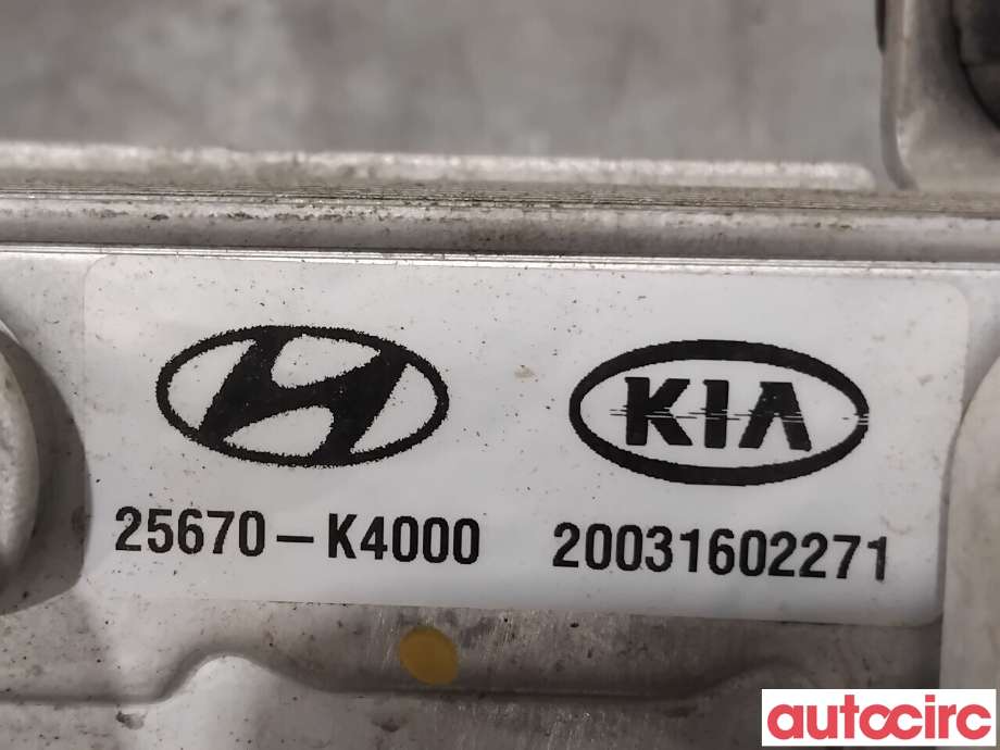 Varmeapparat diverse til Hyundai Kona 2017-2021 (Type I, Fase 1)  (HYUNDAI|25670K4000||25670-K4000)
