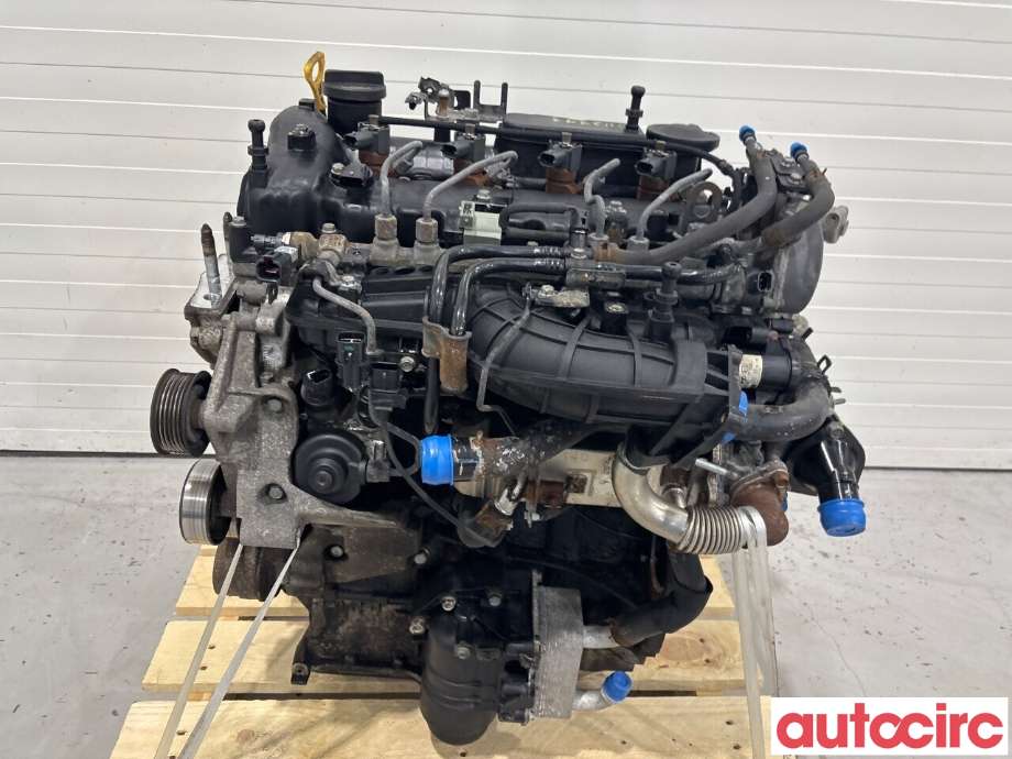 Motor diesel til Kia Sportage 2010-2016 (Type III)  (KIA|Z62412FZ00|D4HA|)