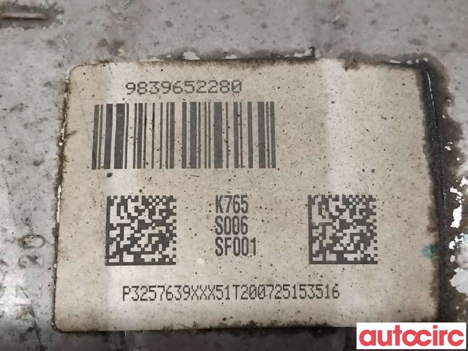 Partikkelfilter til Peugeot Partner 2019-->> (Type III)  (PEUGEOT|1631621980|S006|9839652280)
