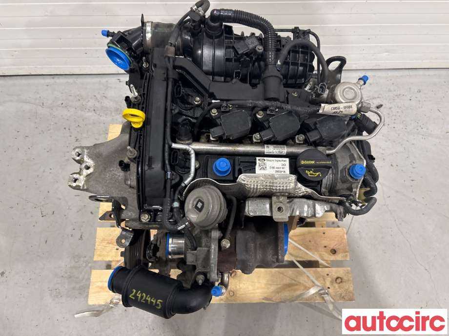 Motor bensin til Ford Fiesta 2013-2017 (Type VI, Fase 2)  (FORD|2239292|SFJC|C1BG-6006-FB)