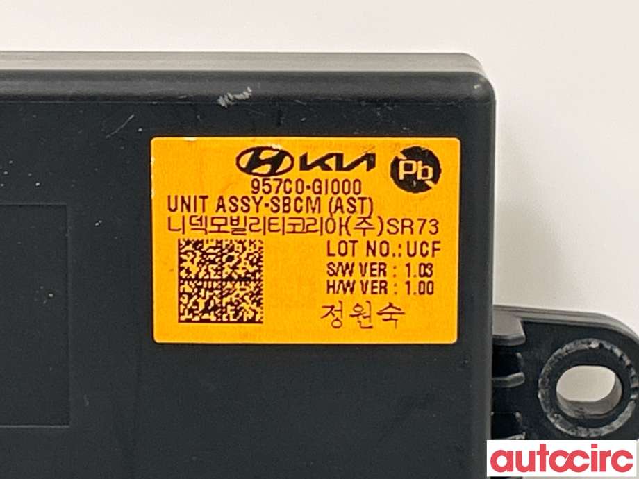 Styreenhet diverse til Hyundai Ioniq 5 2021-->>  (HYUNDAI|957C0GI000)