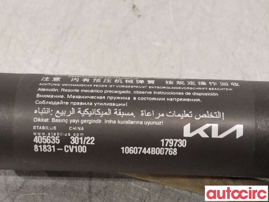Baklukedemper til Kia EV6 2021-->>  (KIA|81831CV100||81831-CV100)