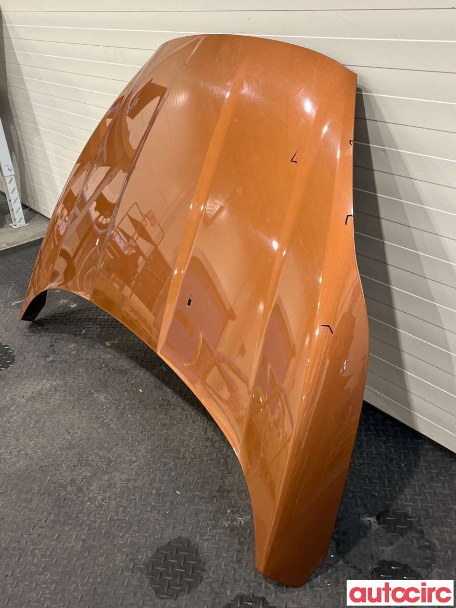 Panser til Ford Fiesta 2013-2017 (Type VI, Fase 2)  (FORD|2002312)