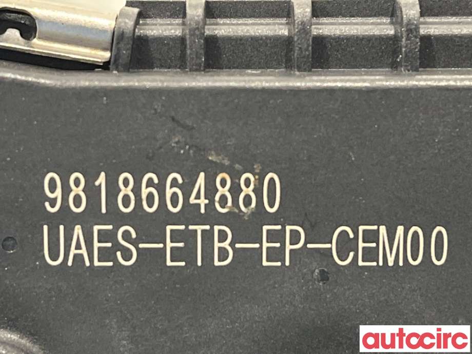 Spjeldhus til Peugeot 3008 2016-->> (Type II)  (PEUGEOT|9818664880)