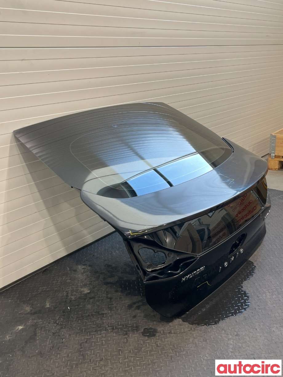 Bakluke combi til Hyundai Ioniq Electric 2016-2019 (Fase 1) (HYUNDAI|73700G2000)
