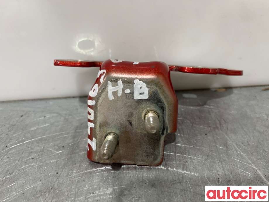 Hengsler til Renault Zoe 2013-2019 (Fase 1)  (RENAULT|824002857R|)