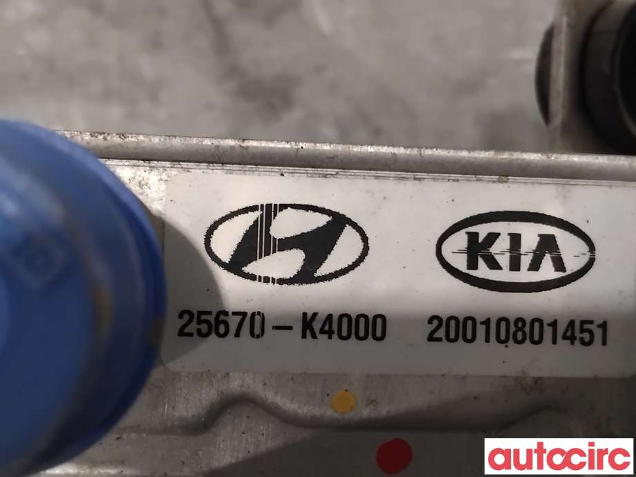 Varmeapparat diverse til Hyundai Kona 2017-2021 (Type I, Fase 1)  (HYUNDAI|25670K4000||25670-K4000)
