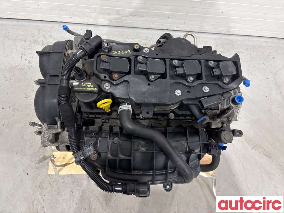 Motor bensin til Ford Fiesta 2013-2017 (Type VI, Fase 2)  (FORD|2509582|JTJA|C1BG-6006-ZB)