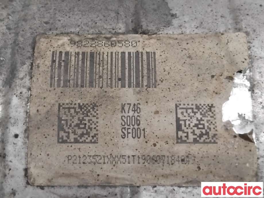 Partikkelfilter til Peugeot Partner 2015-2019 (Type II, Fase 2)  (PEUGEOT|1631621980|TRPSAK746|9822860580)