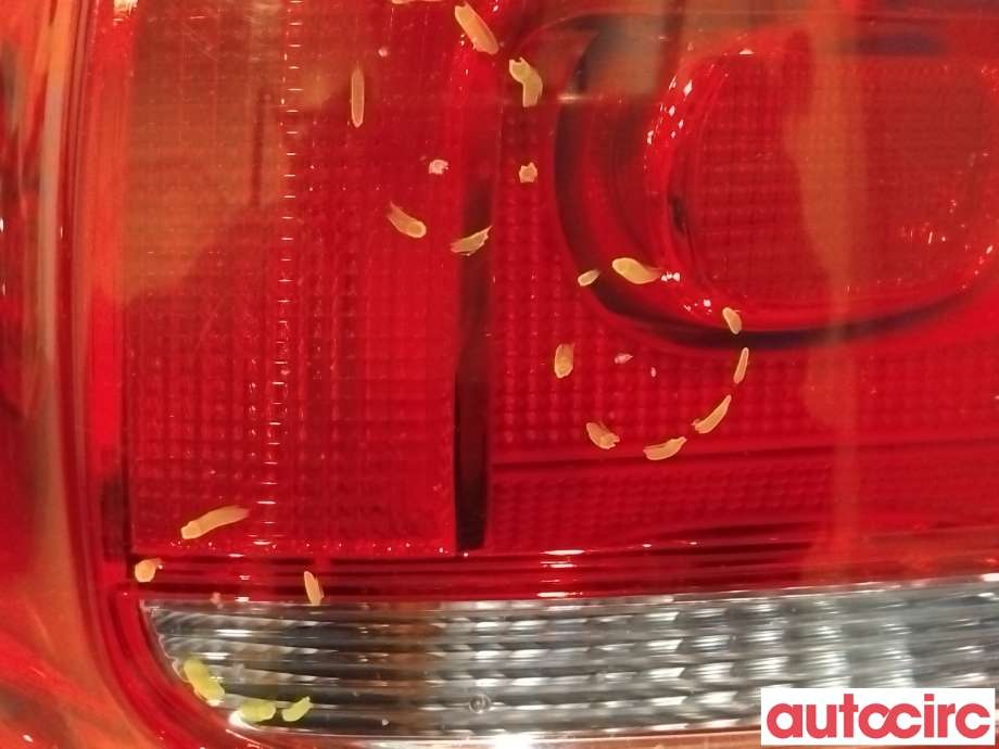 Baklykt venstre til VW Touran 2010-2015 (Type I, Fase 3)  (VOLKSWAGEN|1T0945095R)