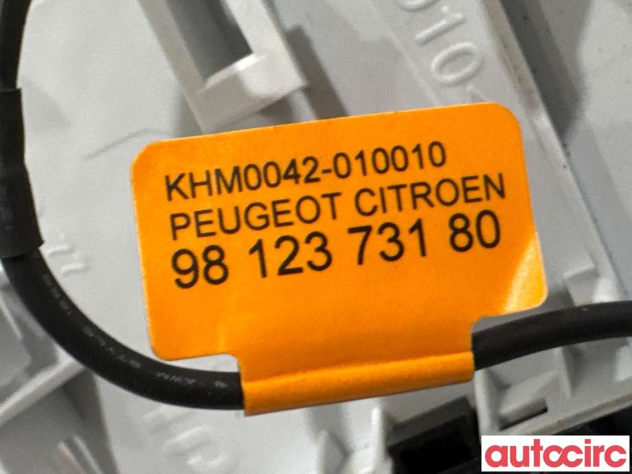 Taklyspanel til Peugeot 2008 2013-2019 (Type I)  (PEUGEOT|96781445PR|)