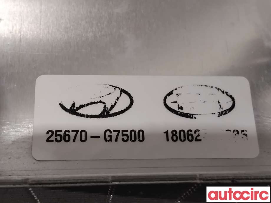 Varmeapparat diverse til Hyundai Ioniq Electric 2016-2019 (Fase 1)  (HYUNDAI|25671G7500||25670-G7500)