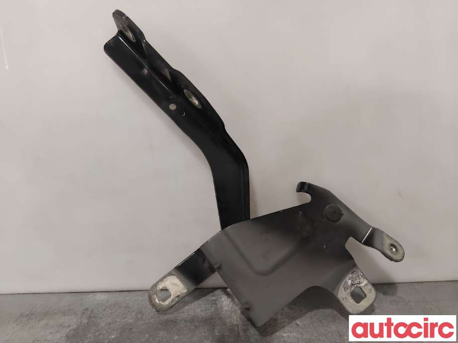 Panserhengsler til Renault Clio 2012-2016 (Type IV, Fase 1) (RENAULT|654008394R|)
