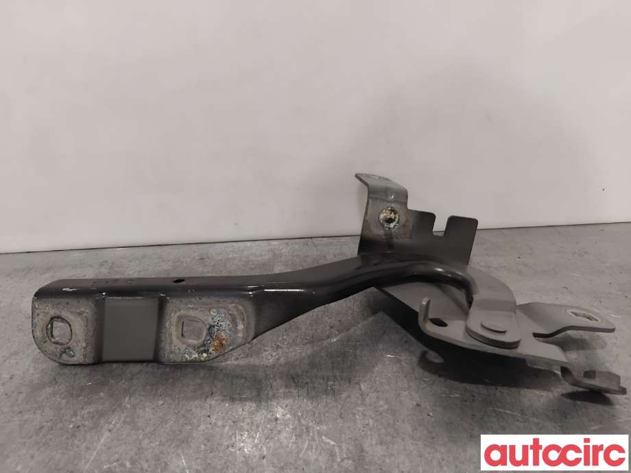 Panserhengsler til Renault Clio 2012-2016 (Type IV, Fase 1) (RENAULT|654008394R|)