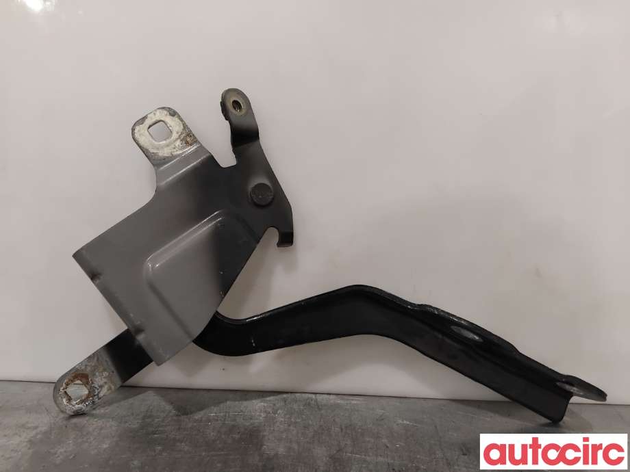 Panserhengsler til Renault Clio 2012-2016 (Type IV, Fase 1) (RENAULT|654010257R|)