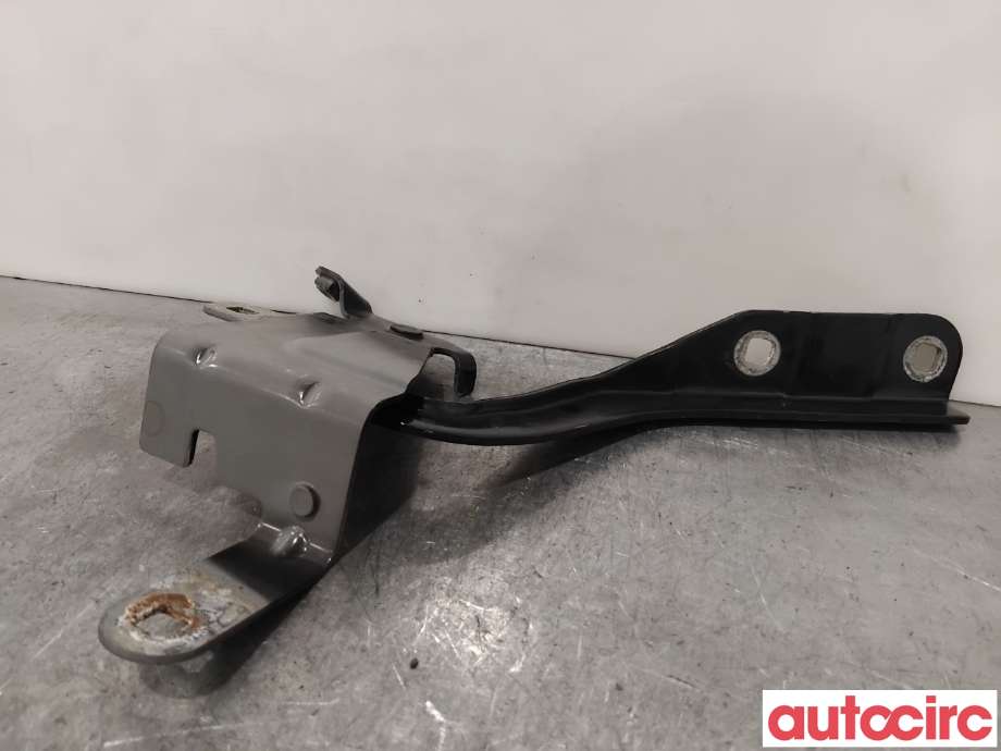 Panserhengsler til Renault Clio 2012-2016 (Type IV, Fase 1) (RENAULT|654010257R|)