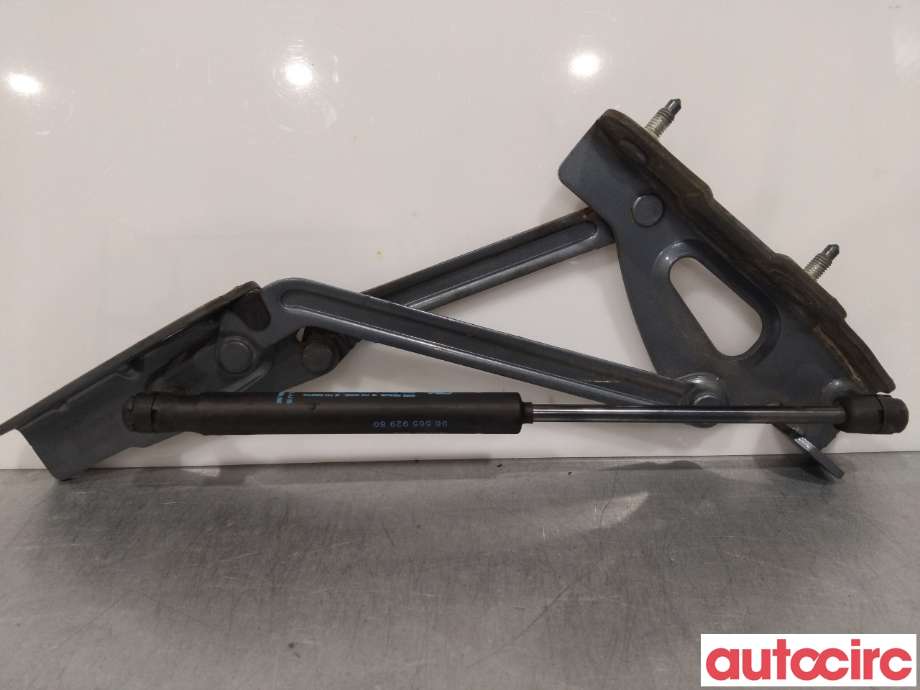 Hengsler til Peugeot 407, 2004-2010  (PEUGEOT|861393)