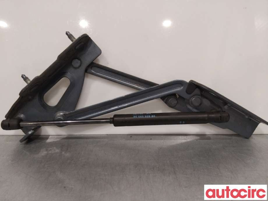 Hengsler til Peugeot 407, 2004-2010  (PEUGEOT|863194)