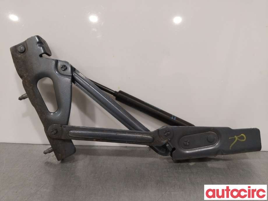 Hengsler til Peugeot 407 2004-2010  (PEUGEOT|863194)