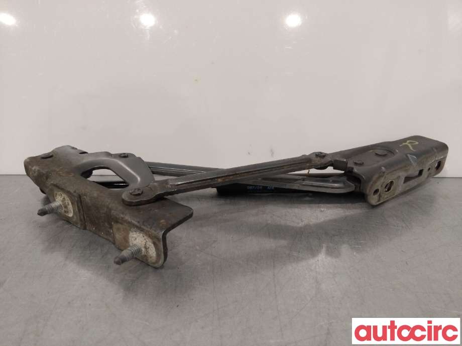 Hengsler til Peugeot 407 2004-2010  (PEUGEOT|863194)