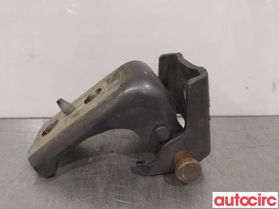 Hengsler til Peugeot 407 2004-2010  (PEUGEOT|9035Q2)