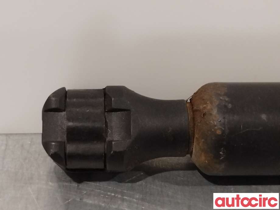 Baklukedemper til Peugeot Expert 2007-2016 (Type II) (PEUGEOT|8731Q9|1401103980)