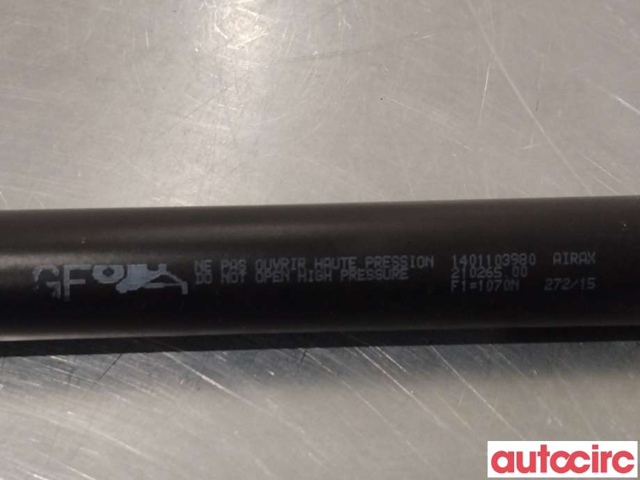 Baklukedemper til Peugeot Expert 2007-2016 (Type II) (PEUGEOT|8731Q9|1401103980)
