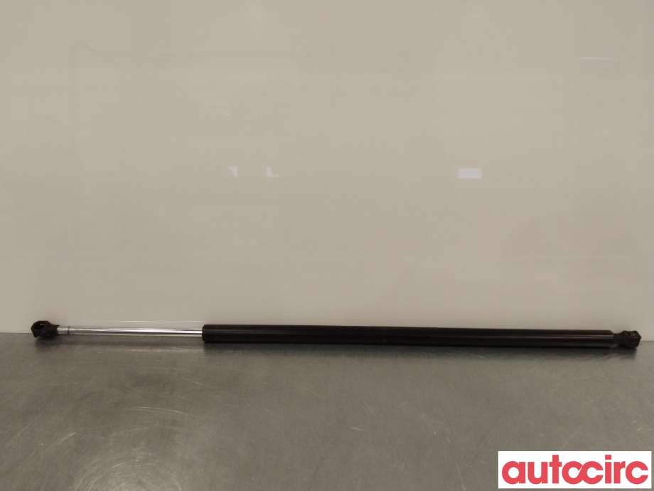 Baklukedemper til Peugeot Expert 2007-2016 (Type II)  (PEUGEOT|8731Q9|1401103980)
